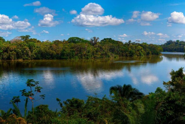 Tambopata
